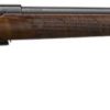 Buy CZ 457 American .22 LR 24.8" Turkish Walnut 5rd (02310)