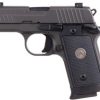 Buy Sig Sauer P238 Legion .380acp 2.7" Legion Gray, Night Sights, 3