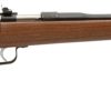 KSA Rogue Crickett Chipmunk .22 LR standard walnut