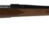 Weatherby 270 Deluxe SPORTER 24