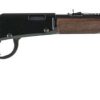 Henry Lever Action .22 Magnum