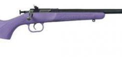 KEYSTONE SPORTING ARMS CRICKETT .22 LR