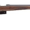 CZ-USA CZ527 Varmint 17 REM