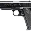 Buy Walther Arms Colt 5170304 1911 Government Tribute .22 LR 5" 12