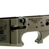 Spikes Tactical STLS015 AR-15 Punisher Stripped Lower Receiverr