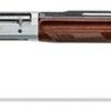 Buy Benelli Montefeltro Silver Featherweight, Semi-Auto 20 Ga, 24", 3", Satin Walnut