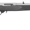 Buy Ruger 10/22 22LR Carbine, 18" Barrel, SS Finish, 10 Rnd Mag