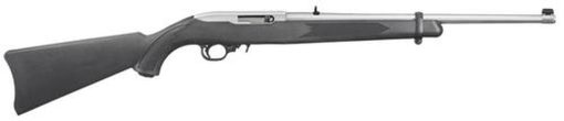 Buy Ruger 10/22 22LR Carbine, 18" Barrel, SS Finish, 10 Rnd Mag