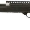 Buy Henry Big Boy Special Wildlife, .45-70 Govt, 22", Octagon Barrel, 4rd, Walnut/Blued