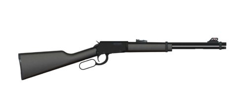 Buy Rossi RL22, Lever Action, 22 LR, 18" Barrel, Blued, Synthetic Stock, Adjustable Sights, 15Rd