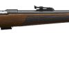 Buy CZ 457 Premium 22 LR Rifle