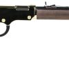 Buy Henry Golden Boy Large Loop 22LR Rifle 20" Octagonal Barrel