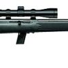 Buy Savage Model 64 FVXP 22LR Rifle with 4x32 Scope