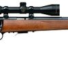 Buy Savage Model 93R17 GVXP 17 HMR Rifle with 3-9x40 Scope Walnut Stock Accutrigger