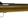 Buy Crickett 22LR Youth Rifle Walnut Stock