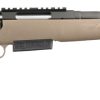 Buy Ruger American Ranch 450 Bushmaster Flat Dark Earth Rifle 16" Barrel