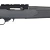 Buy Ruger 10/22 22LR Carbine, Charcoal Polymer Stock