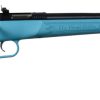 Buy Crickett 22LR Youth Rifle Blue Synthetic Stock