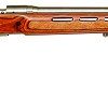 Buy Savage Model 12 BTCSS Varminter Thumbhole 223 Rifle Stainless Barrel