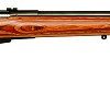 Buy Savage Model 25 Lightweight Varminter 223 Rifle