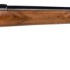 Buy CZ 527 Varmint 223 Remington Rifle