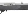 Buy Ruger 10/22 22LR Rifle, Stainless Synthetic Stock