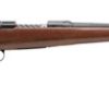 Buy Savage Model 11 LWH Lightweight Hunter 223 Rifle