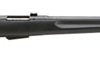 Buy Savage Model 25 Walking Varminter 223 Rifle