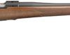 Buy Ruger M77 Hawkeye 308 Satin Walnut Blued