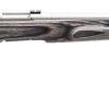 Buy Savage B.Mag Target 17 Winchester Super Magnum Rifle