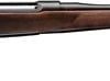 Buy Sauer 100 Classic XT 308 Winchester Rifle with Wood Stock