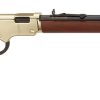 Buy Henry Golden Boy 17HMR Rifle 20" Octagonal Barrel