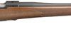 Buy Ruger M77 Hawkeye 223 Satin Walnut Blued