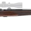 Buy Browning T-Bolt Sporter 22 Mag Rifle