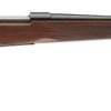 Buy Winchester Model 70 Sporter 7mm Mag Rifle