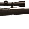 Buy Savage Model 16 Trophy Hunter XP Stainless 243 Win Rifle with Scope