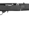 Buy Ruger 10/22 Takedown Threaded Barrel 22LR Rifle