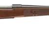 Buy Winchester Model 70 Featherweight 7mm-08 Rifle