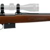 Buy CZ 527 American 22 Hornet Rifle