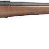 Buy Ruger M77 Hawkeye 204 Ruger Satin Walnut Blued