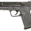 Buy Smith & Wesson SD40VE Gray Frame 40 S&W Pistol