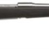 Buy Savage 16/116 FCSS Bolt 243 Win 22" Barrel, Accustock Black Stock Stainless Ste, 4rd