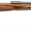 Buy Savage Model 11 Hunter Series .223 Remington 22 Inch Barrel Satin Blue Finish Accutrigger Thumbhole Laminate Stock 4 Round