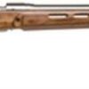 Buy Savage Model 12 Varminter .204 Ruger 26 Inch Stainless Steel Barrel Detachable Box Magazine Laminated Thumbhole Stock 4 Round