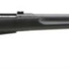 Buy Savage Model 25 Walking Varminter .204 Ruger 22 Inch Barrel Satin Black Synthetic Stock Accutrigger 4 Round