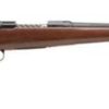 Buy Savage Model 11 Lightweight Hunter, 260, 20"