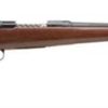 Buy Savage Model 111 Lightweight Hunter, 6.5x284 Norma, 20"