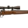 Buy Savage Model 10 Trophy Hunter XP Package .308 Winchester 22" Blued Barrel Wood Stock Includes Nikon 3-9x40mm Riflescope Mounted 4rd