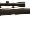 Buy Savage 16 Trophy Hunter XP Bolt 223 Rem 22" Barrel, Scope Black Synthetic Stock SS, 4rd