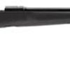 Buy Savage Model 12 FCV Varmint, .204 Ruger, 26", 4rd, Black